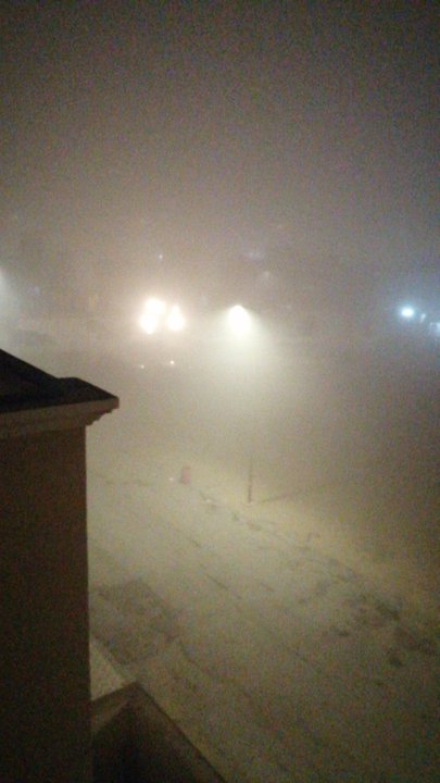 مشاركاتي في أنت الراصد