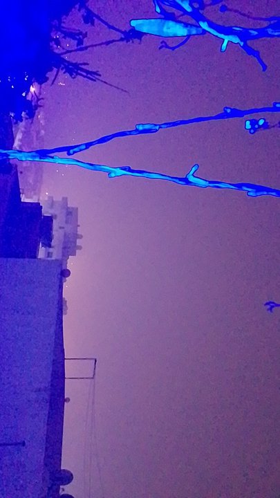 مشاركاتي في أنت الراصد