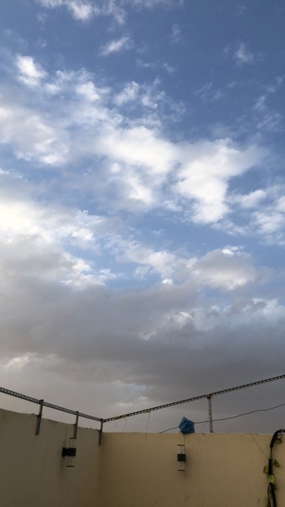 مشاركاتي في أنت الراصد