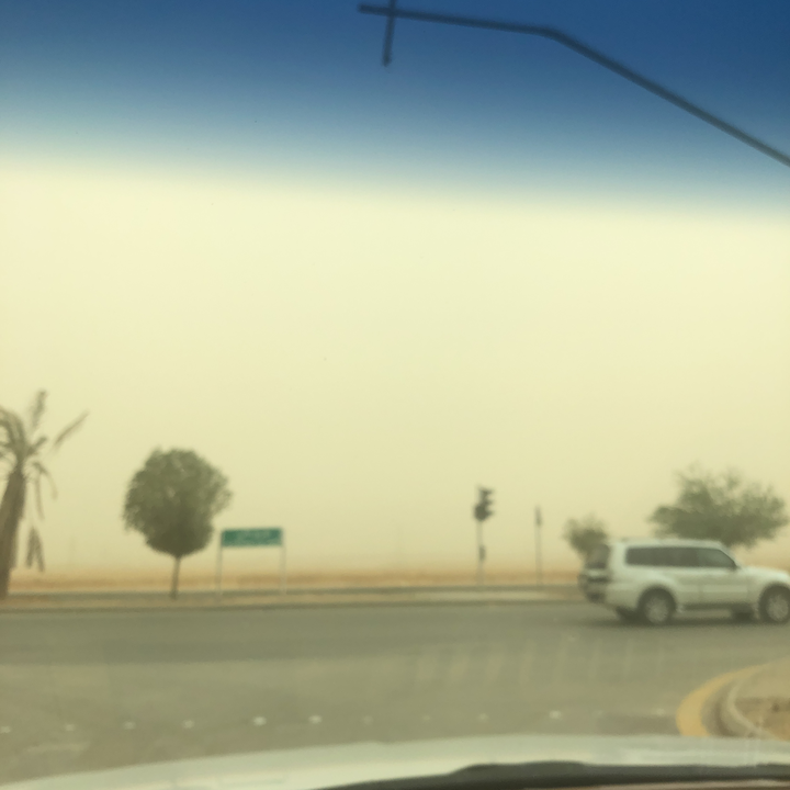 مشاركاتي في أنت الراصد