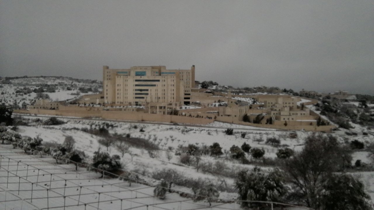 مشاركاتي في أنت الراصد