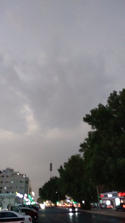 مشاركاتي في أنت الراصد