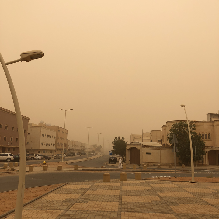 مشاركاتي في أنت الراصد