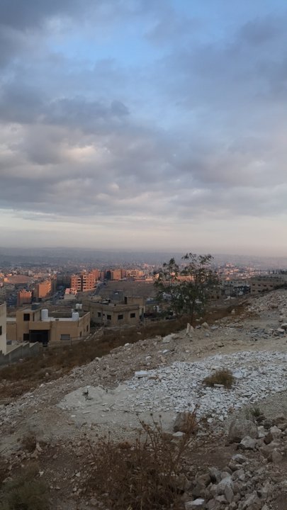 مشاركاتي في أنت الراصد