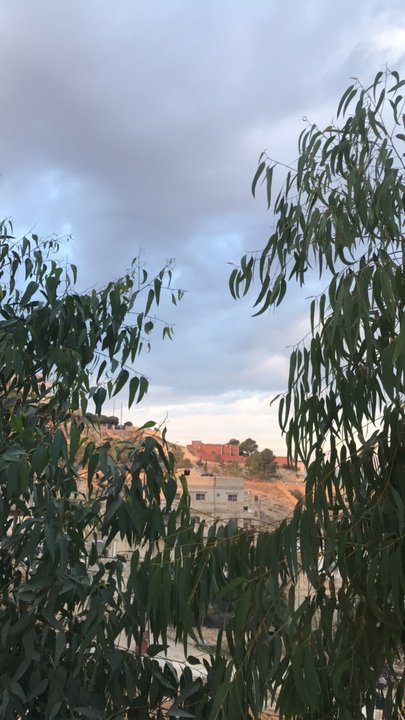 مشاركاتي في أنت الراصد