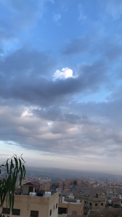 مشاركاتي في أنت الراصد