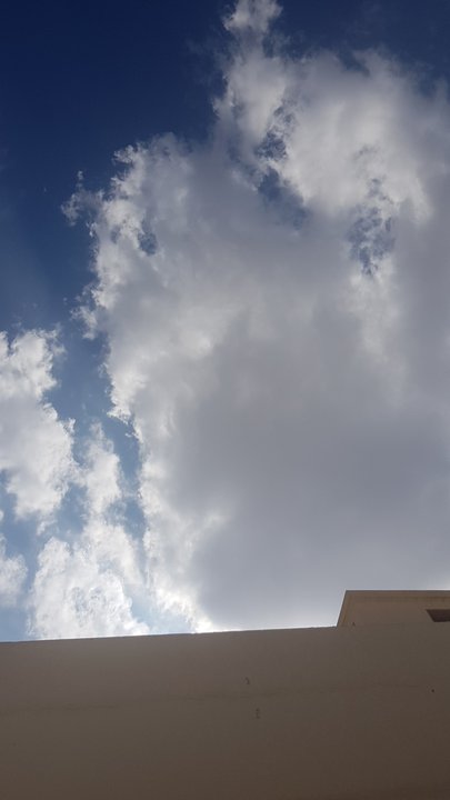 مشاركاتي في أنت الراصد