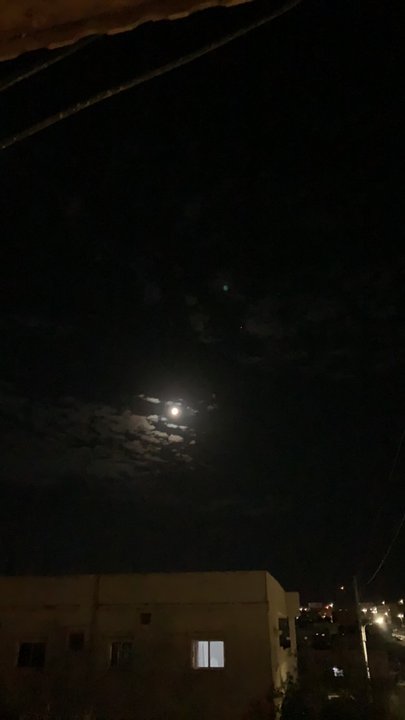 مشاركاتي في أنت الراصد