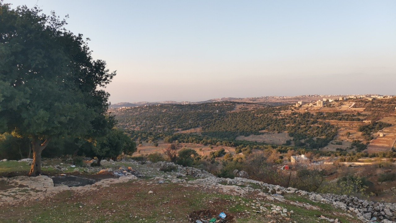 مشاركاتي في أنت الراصد