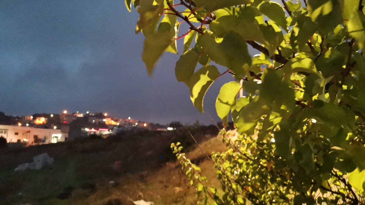 مشاركاتي في أنت الراصد