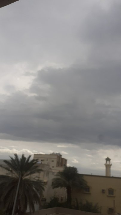 مشاركاتي في أنت الراصد