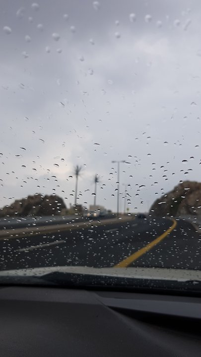 مشاركاتي في أنت الراصد