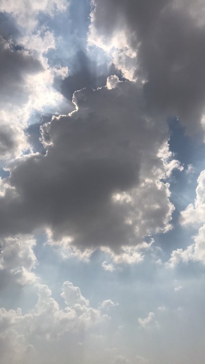 مشاركاتي في أنت الراصد