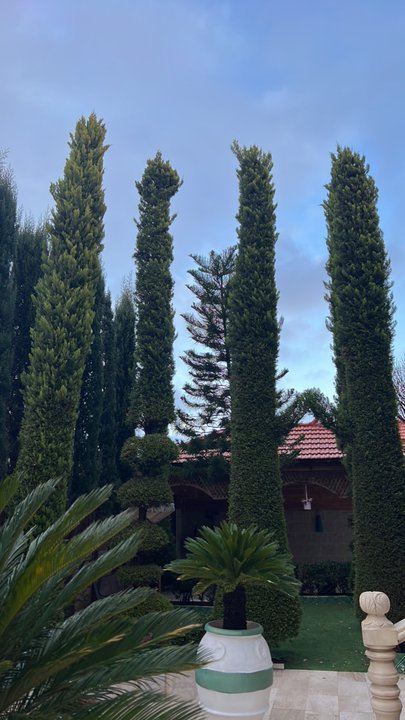 مشاركاتي في أنت الراصد