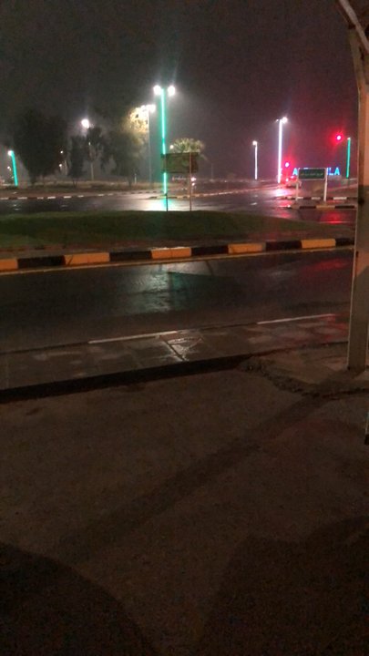 مشاركاتي في أنت الراصد