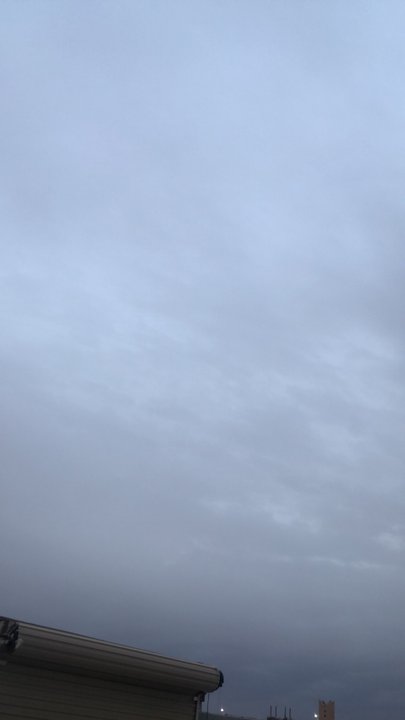 مشاركاتي في أنت الراصد