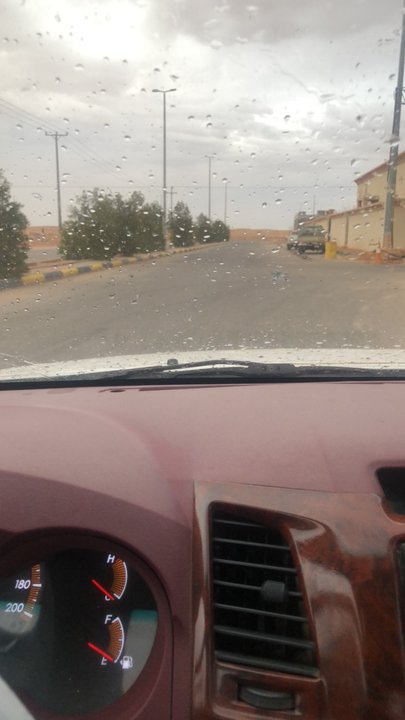 مشاركاتي في أنت الراصد