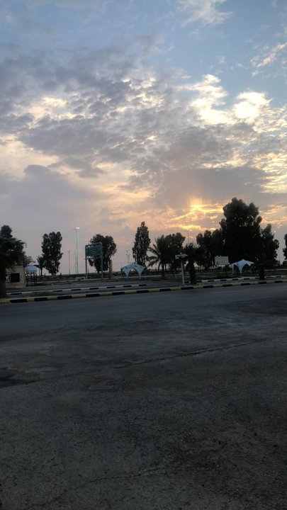 مشاركاتي في أنت الراصد