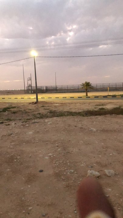 Mes publications Crowdsourcing