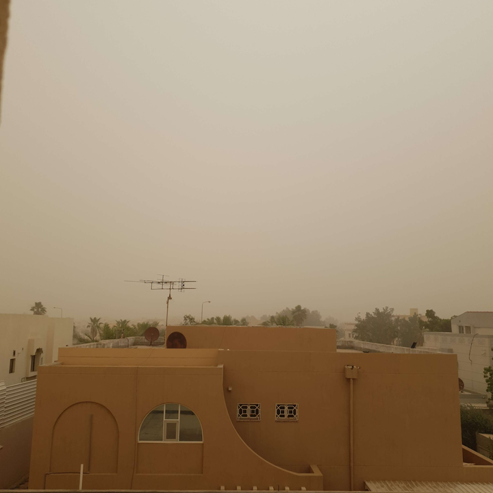 مشاركاتي في أنت الراصد