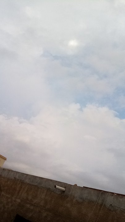 مشاركاتي في أنت الراصد