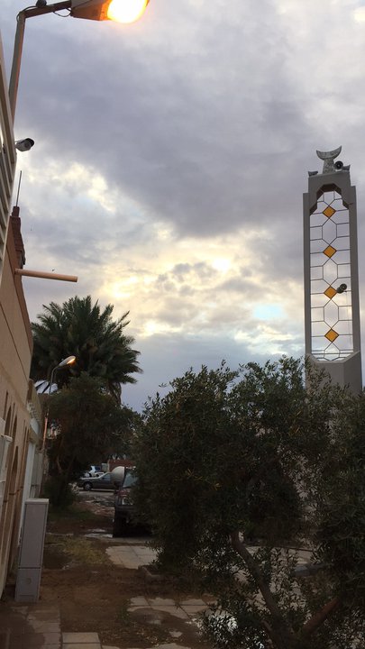 مشاركاتي في أنت الراصد