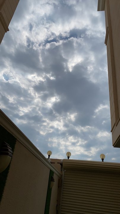 مشاركاتي في أنت الراصد