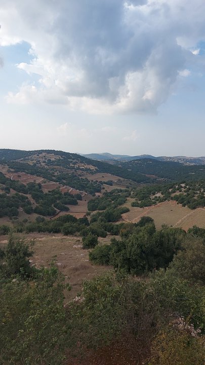 مشاركاتي في أنت الراصد