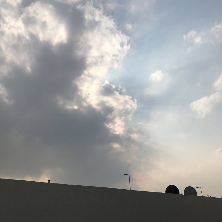 مشاركاتي في أنت الراصد