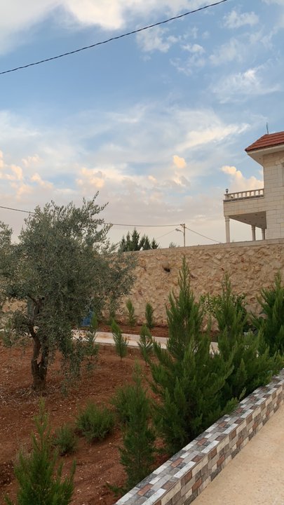 مشاركاتي في أنت الراصد