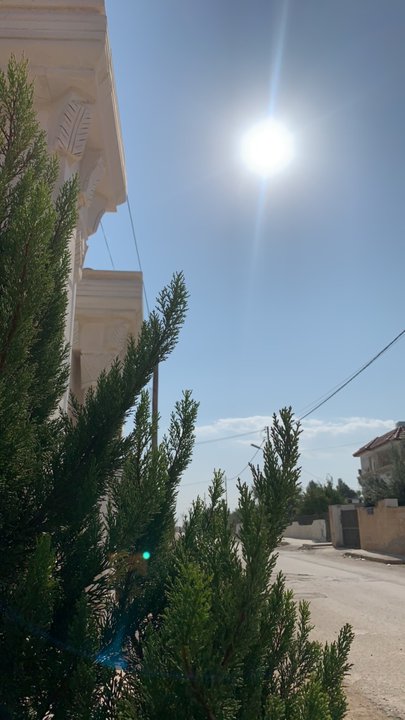 مشاركاتي في أنت الراصد