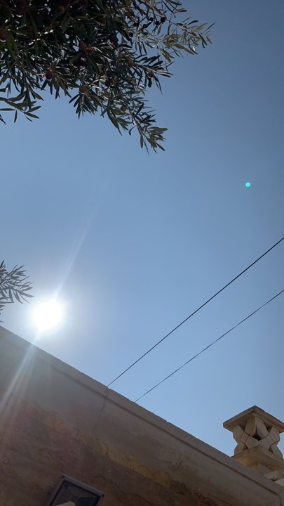 مشاركاتي في أنت الراصد