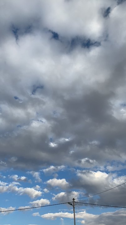 مشاركاتي في أنت الراصد