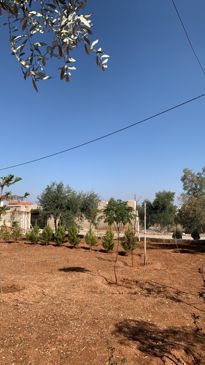 مشاركاتي في أنت الراصد