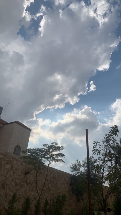 مشاركاتي في أنت الراصد