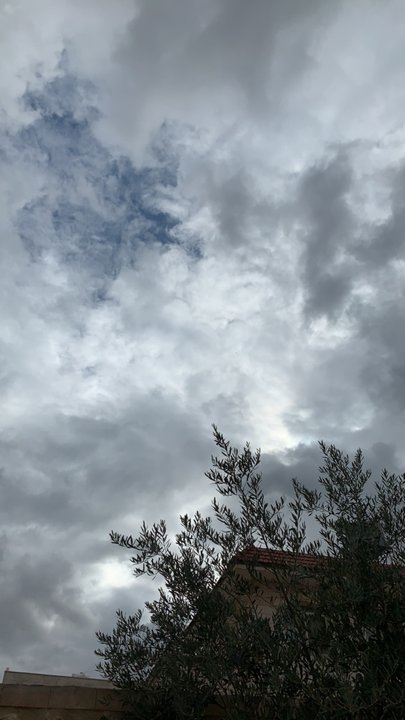 مشاركاتي في أنت الراصد