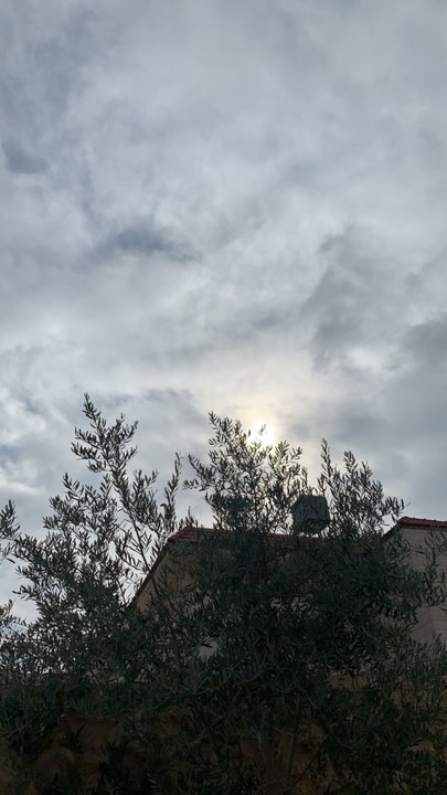 مشاركاتي في أنت الراصد