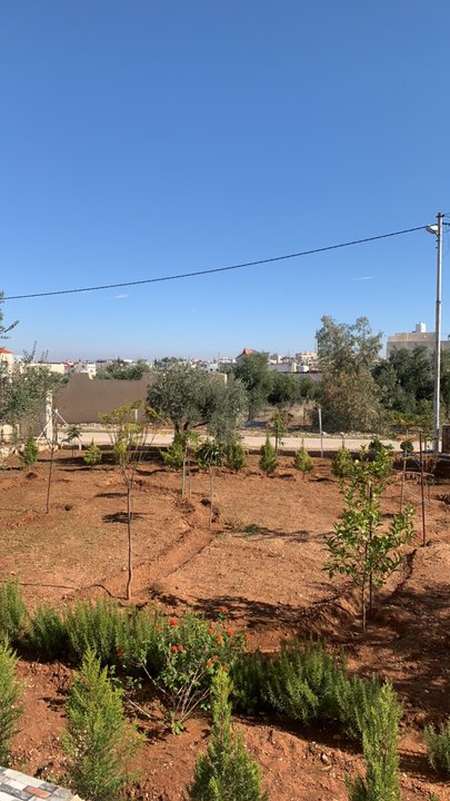 مشاركاتي في أنت الراصد