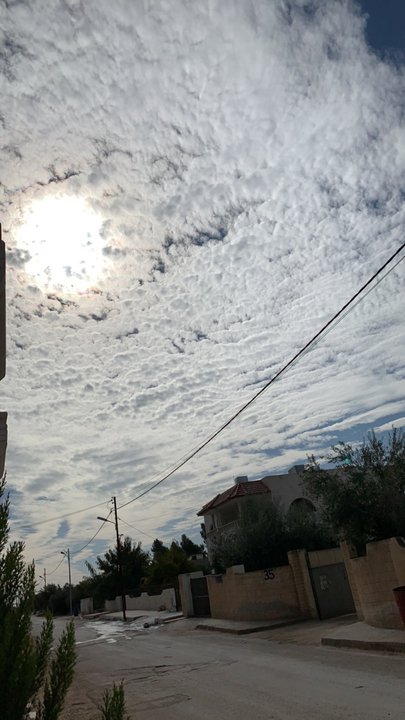 مشاركاتي في أنت الراصد