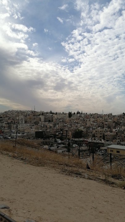 مشاركاتي في أنت الراصد