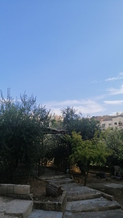 مشاركاتي في أنت الراصد