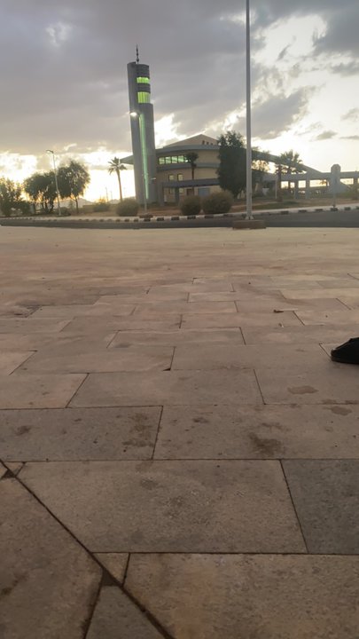 مشاركاتي في أنت الراصد