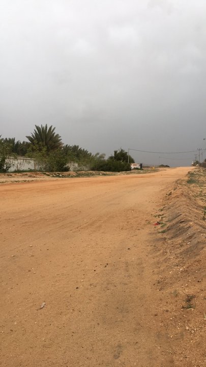 مشاركاتي في أنت الراصد