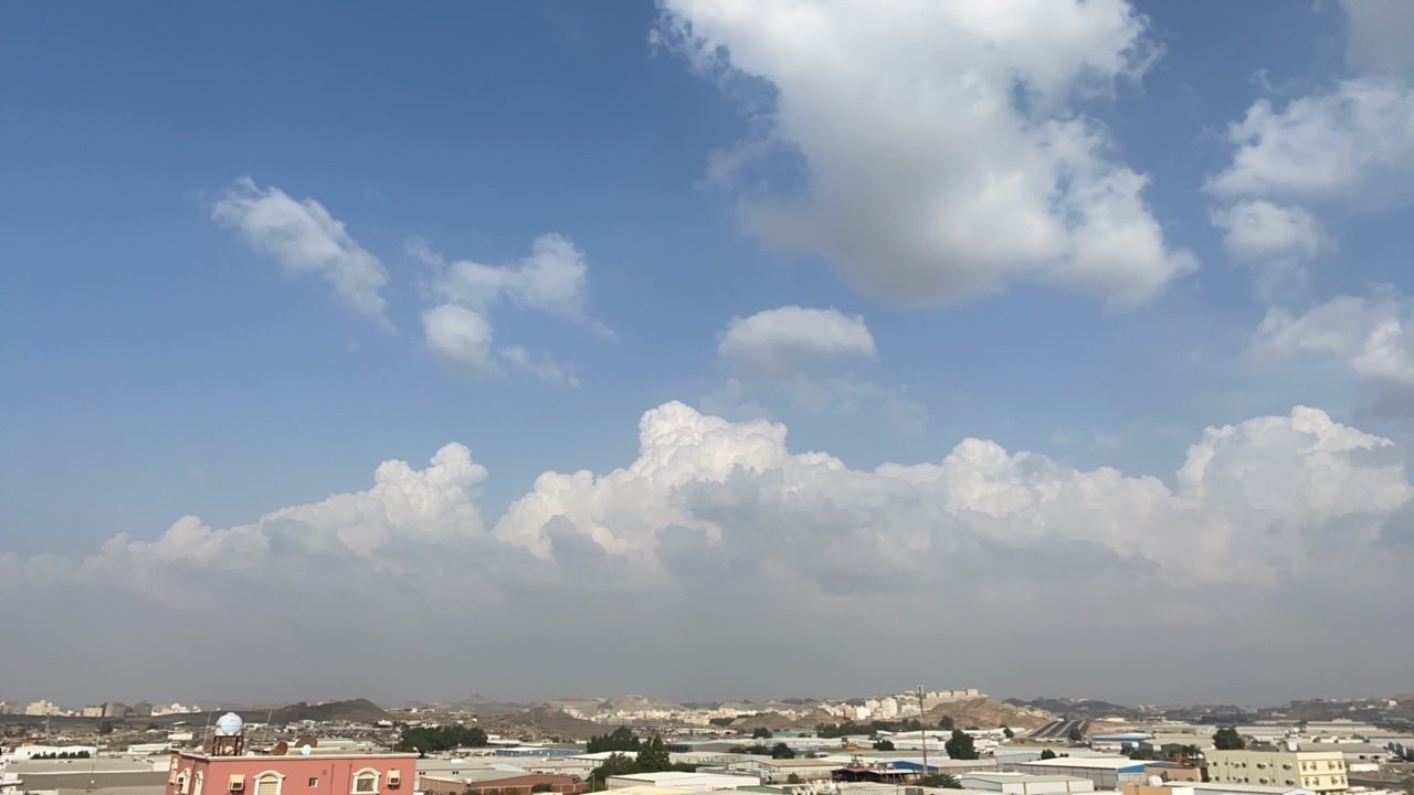 مشاركاتي في أنت الراصد