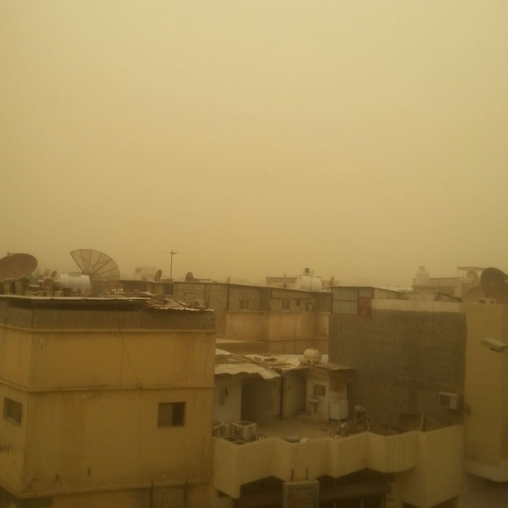 مشاركاتي في أنت الراصد