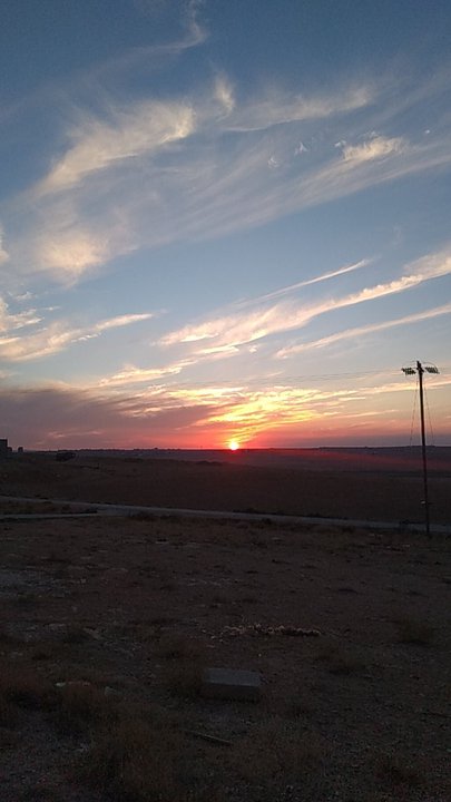 مشاركاتي في أنت الراصد