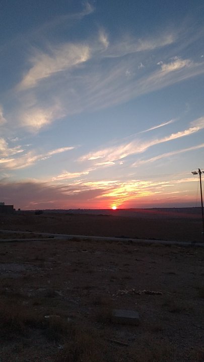 مشاركاتي في أنت الراصد