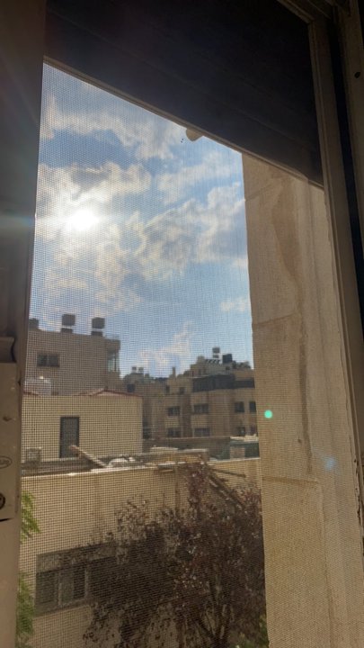 مشاركاتي في أنت الراصد