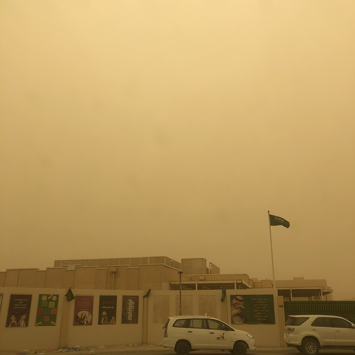 مشاركاتي في أنت الراصد