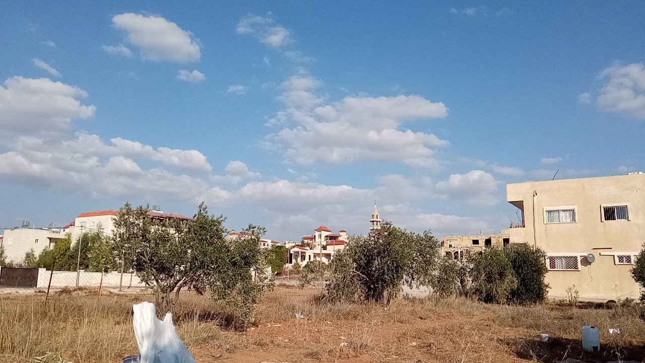 مشاركاتي في أنت الراصد